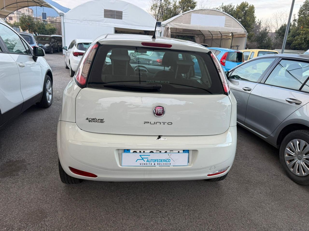 Fiat Punto 1.4 8V 5 porte Natural Power Easy