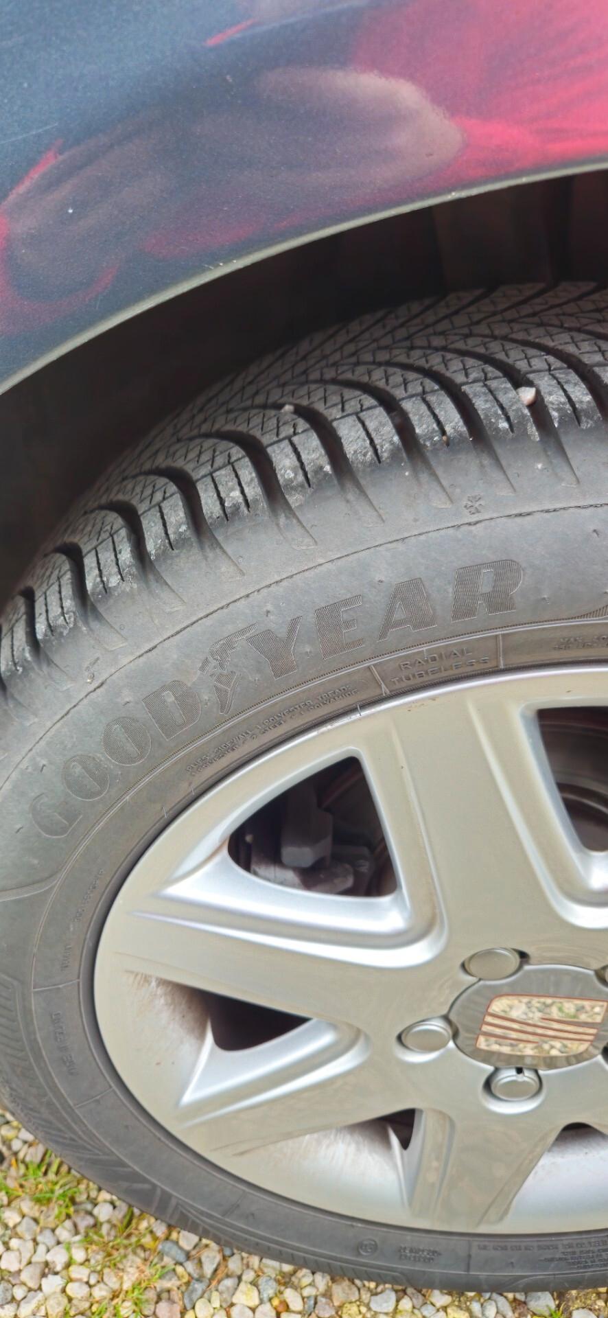 Seat Altea 1.9 TDI 105 cv