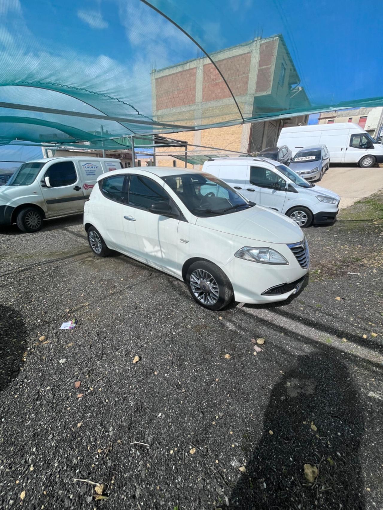 Lancia Ypsilon 1.3 MJT 16V 95 CV 5 porte S&S Platinum