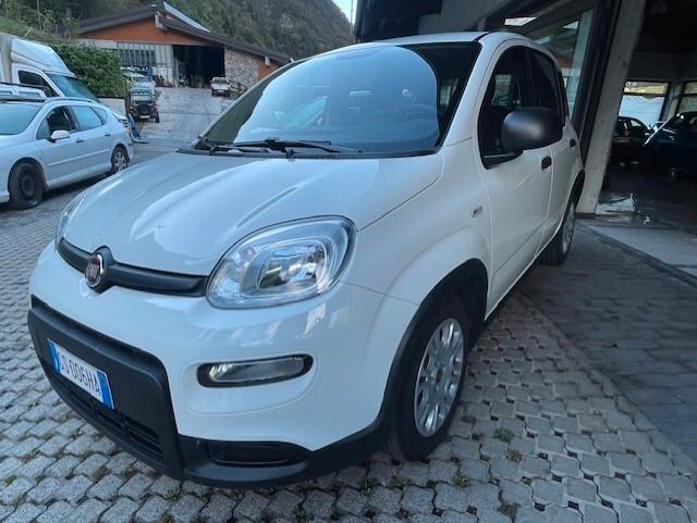 Fiat Panda 1.0 FireFly S&S Hybrid 2024