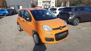 FIAT Panda Panda 1.2 Pop s&s 69cv my19