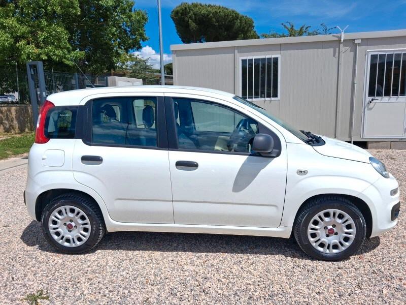 FIAT Panda 3ª serie Panda 1.3 MJT S&S Easy