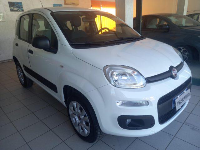 FIAT Panda KM 24337 !!!! M/CASA MADRE