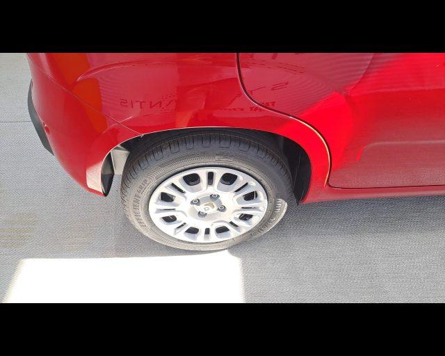 FIAT New Panda 1.0 firefly hybrid s&s 70cv - PACK CITY