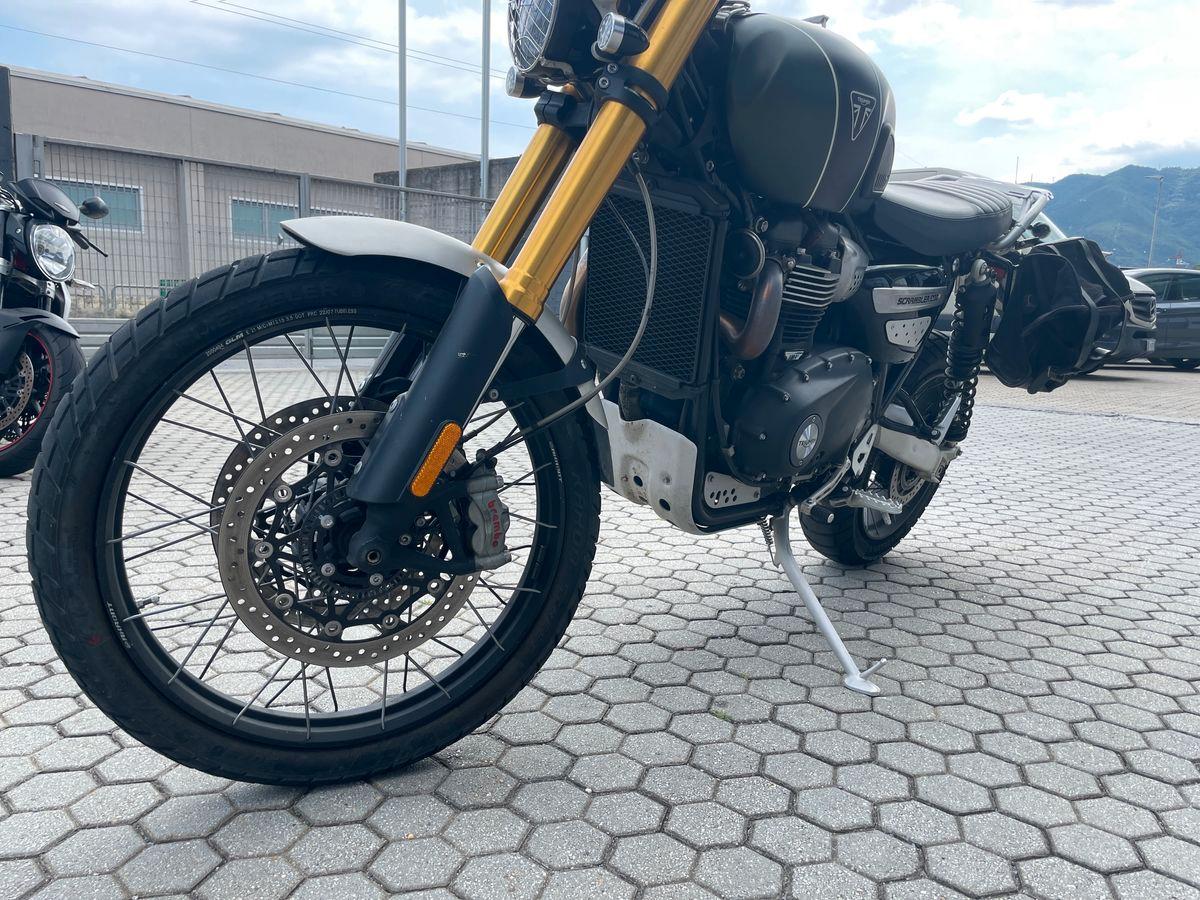 TRIUMPH Scrambler - Scrambler 1200 XE Abs my21