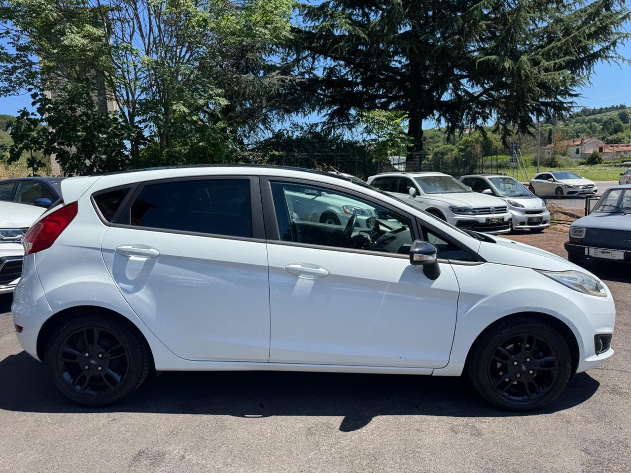 Ford Fiesta 1.5 TDCi 75CV 5 porte Black & White Edition