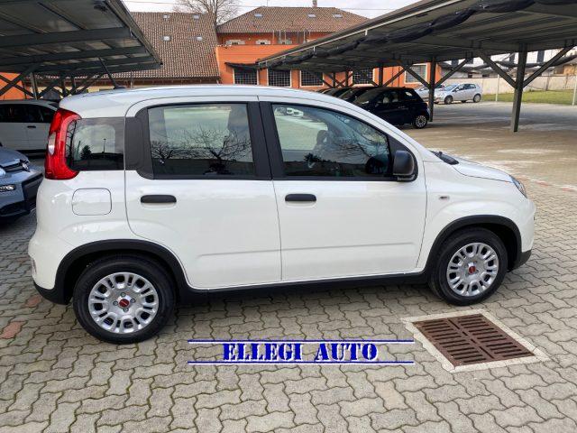 FIAT Panda PROMO FIN. 1.0 FireFly S&S Hybrid MY 23 KM 0