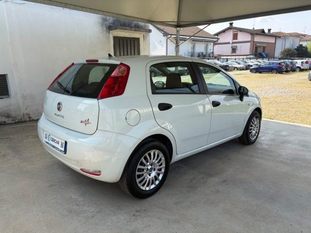 FIAT Punto 1.2 8V 5 porte EURO 6 OK NEOPATENTATI