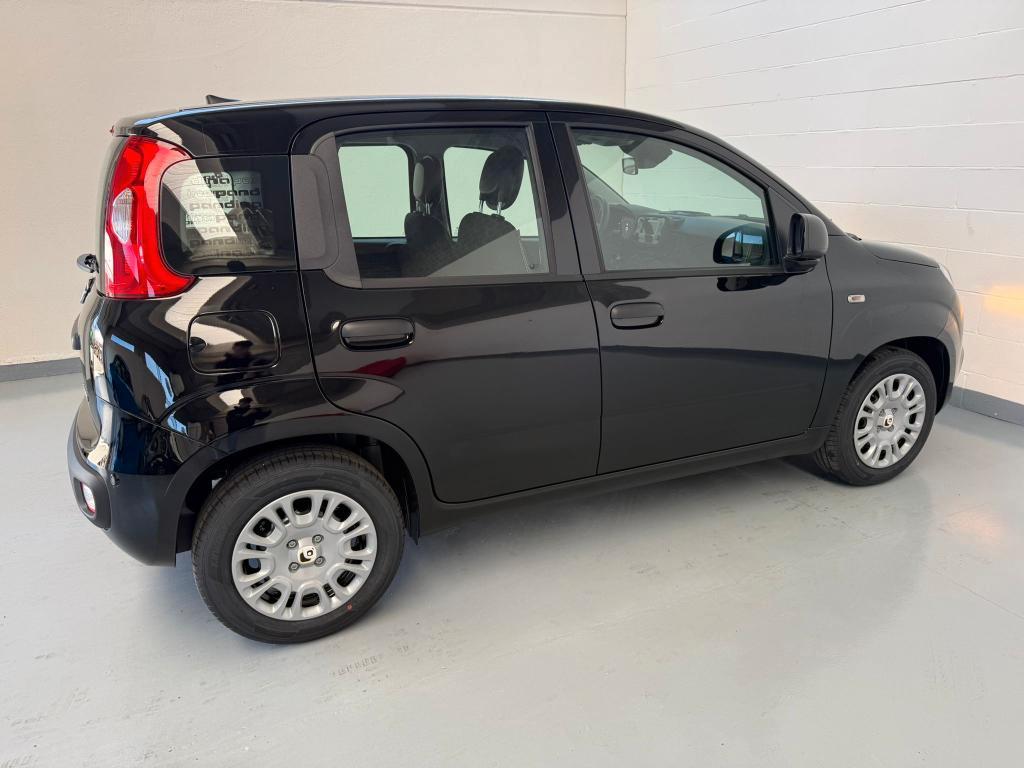 Fiat Pandina 1.0 firefly hybrid Icon s&s 65cv (KM 0)