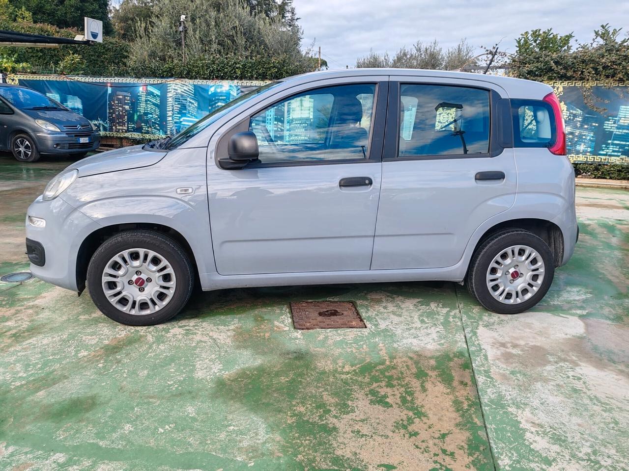 Fiat Panda 1.2 Easy S&S