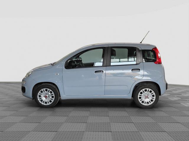 FIAT Panda Panda 1.2 Easy