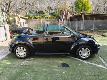 Volkswagen New Beetle 1.9 TDI 105CV Cabrio 2006