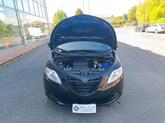 LANCIA Ypsilon 1.2 69 CV 5 porte Elefantino