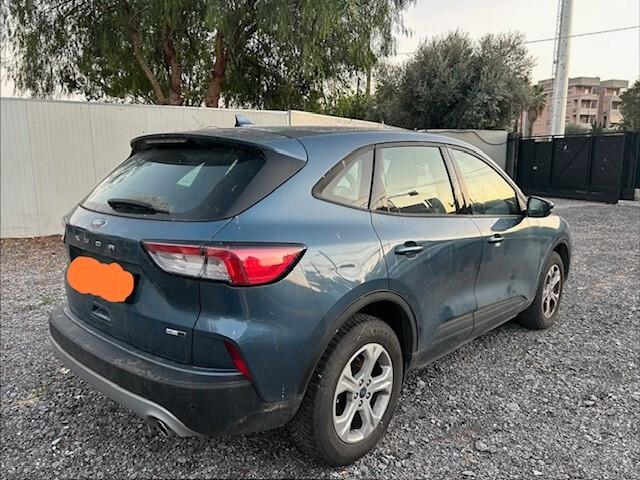 Ford Kuga 2.0 EcoBlue Hybrid 150 CV 2WD Connect sinistrata incidentata 022