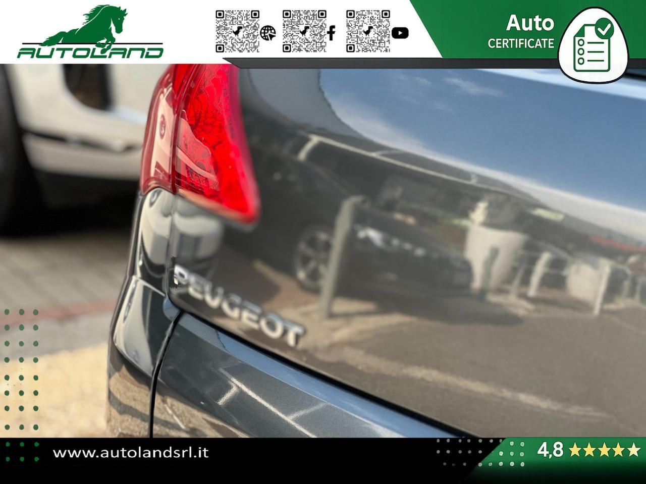 Peugeot 3008 3008 1.6 e-hdi 8v Business s&s 112cv robot