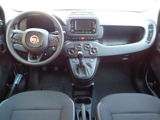 FIAT Panda MY25 - 1.0 FireFly Hybrid ICON