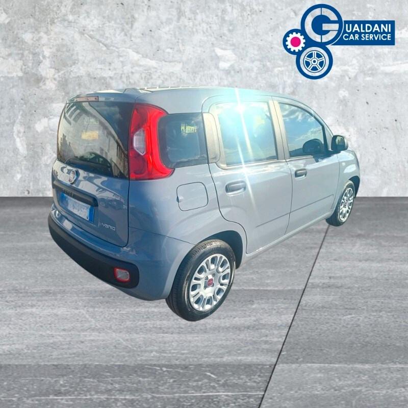 FIAT Panda 3ª serie Panda 1.0 FireFly S&S Hybrid