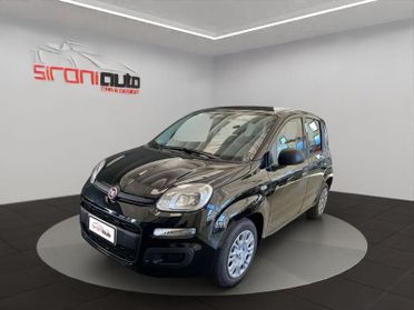 FIAT Pandina Pandina 1.0 firefly hybrid Icon s&s 65cv