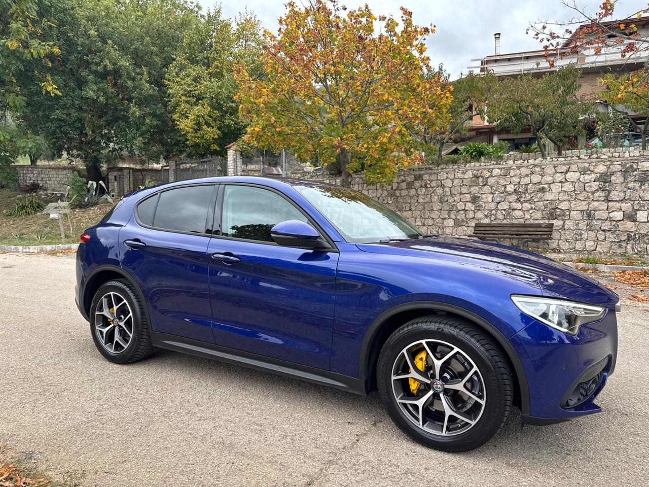 Alfa Romeo Stelvio 2.2 Turbodiesel 190 CV AT8 RWD Executive