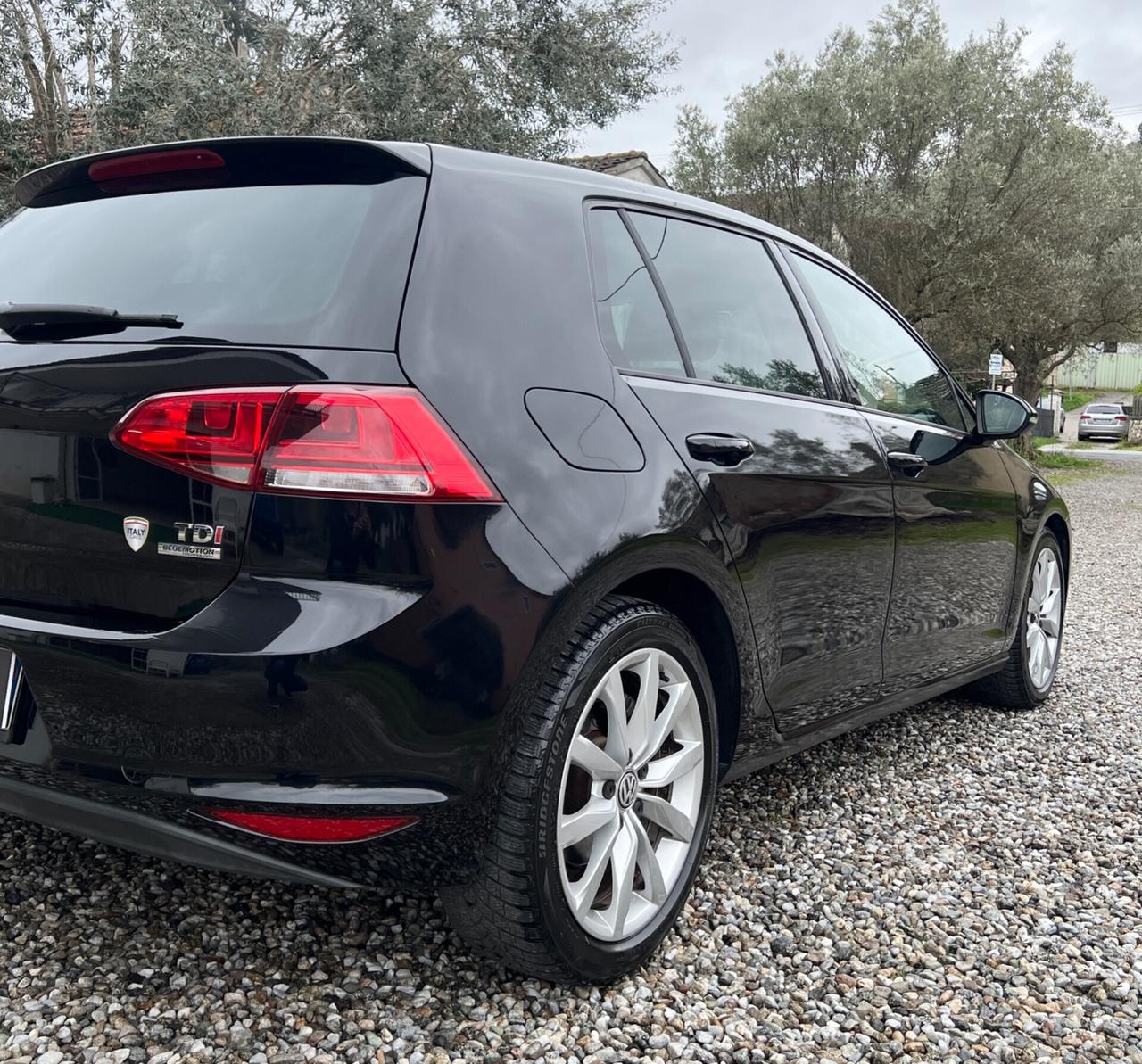 Volkswagen Golf 1.6 TDI 5p. Highline BlueMotion Technology