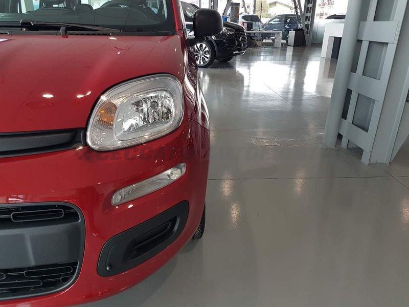 FIAT Panda Panda 1.0 firefly hybrid s&s 70cv