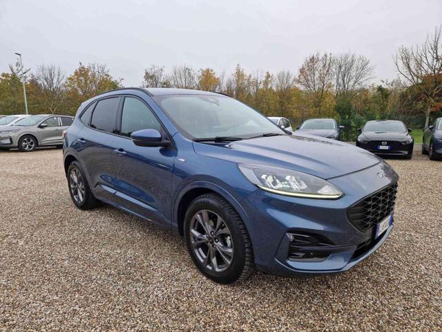 FORD Kuga 1.5 EcoBlue 120 CV aut. 2WD ST-Line X