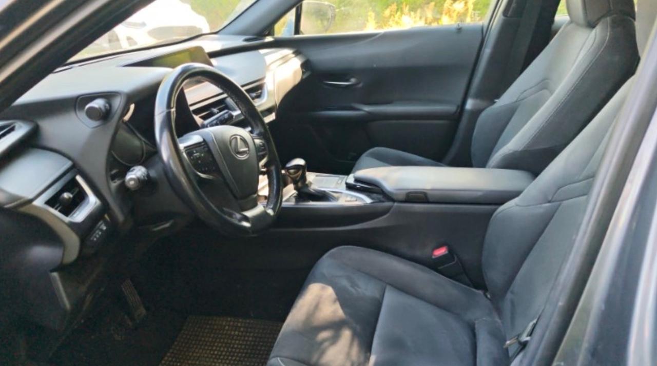 Lexus UX 250h business
