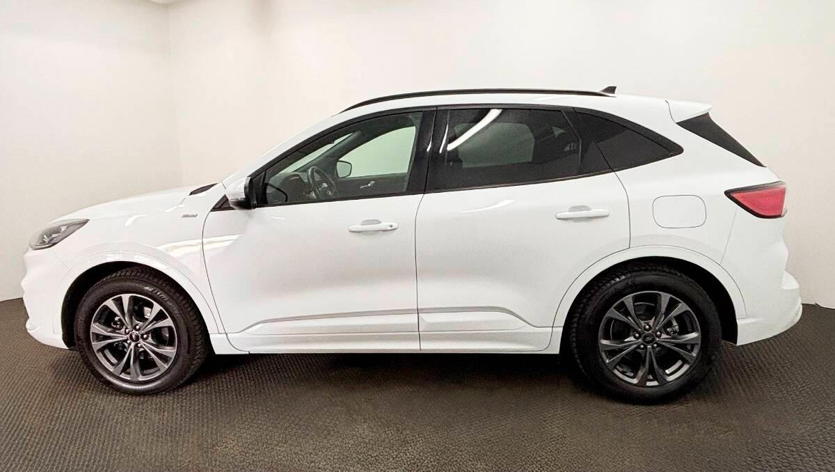 Ford Kuga 2.0 ecoblue ST-Line X awd 190cv auto