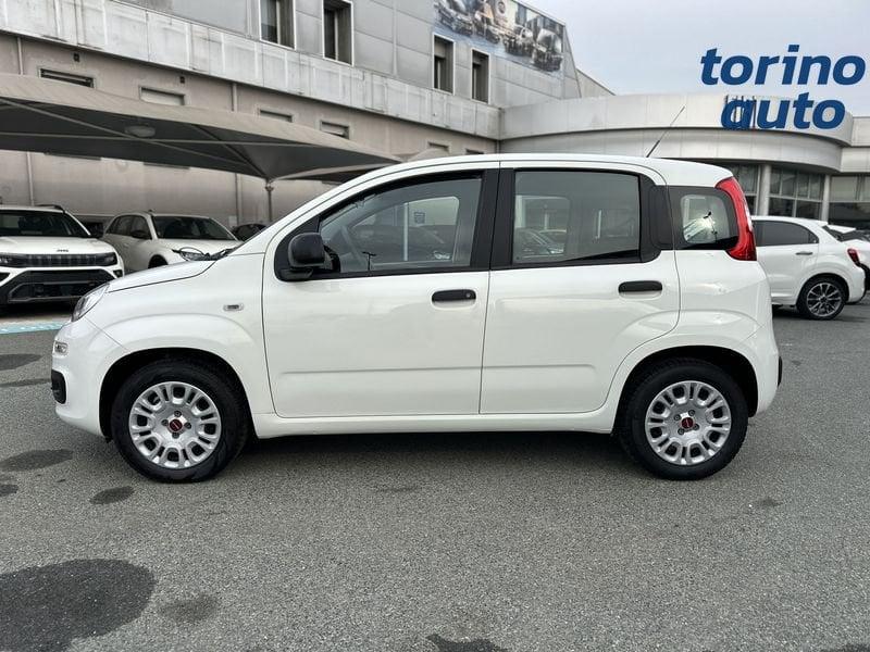 FIAT Panda Panda 1.2 Easy