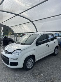 FIAT Pandina Pandina 1.0 FireFly 65 CV Hybrid Icon