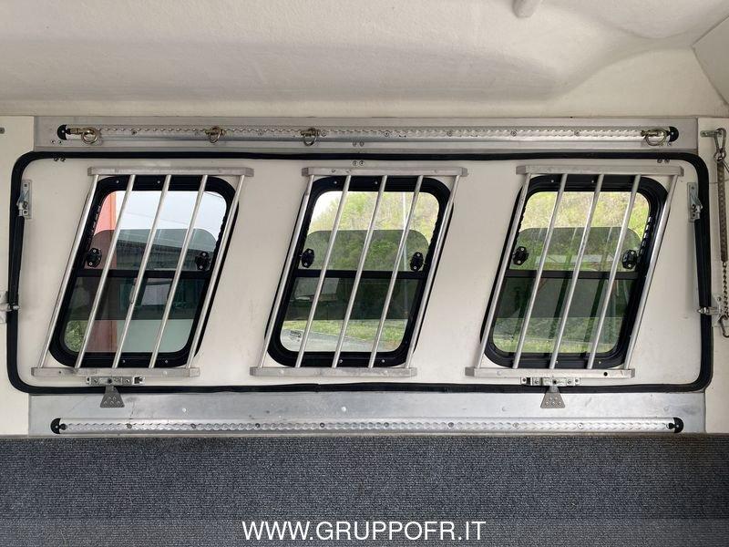 Trailer Steinsberger Steinsberger TRASPORTO CAVALLI