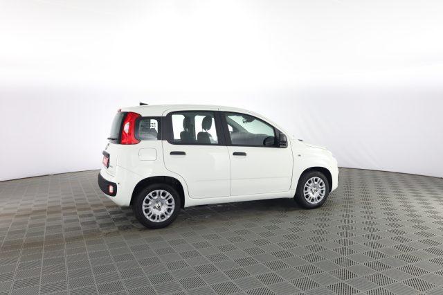 FIAT Panda Pandina 1.0 FireFly 65 CV Hybrid Icon