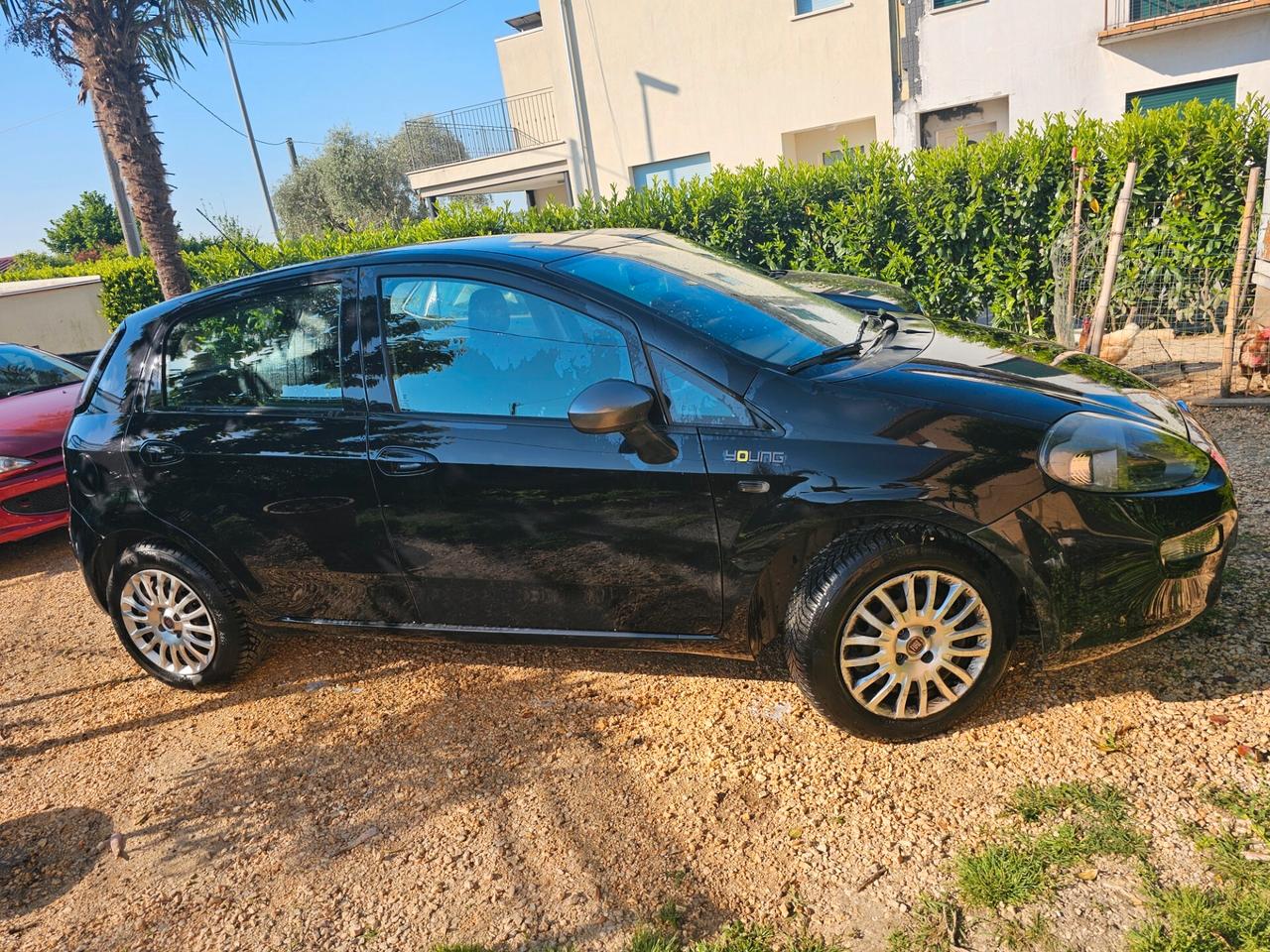 Fiat Punto 1.3 MJT II 75 CV 5 porte Lounge