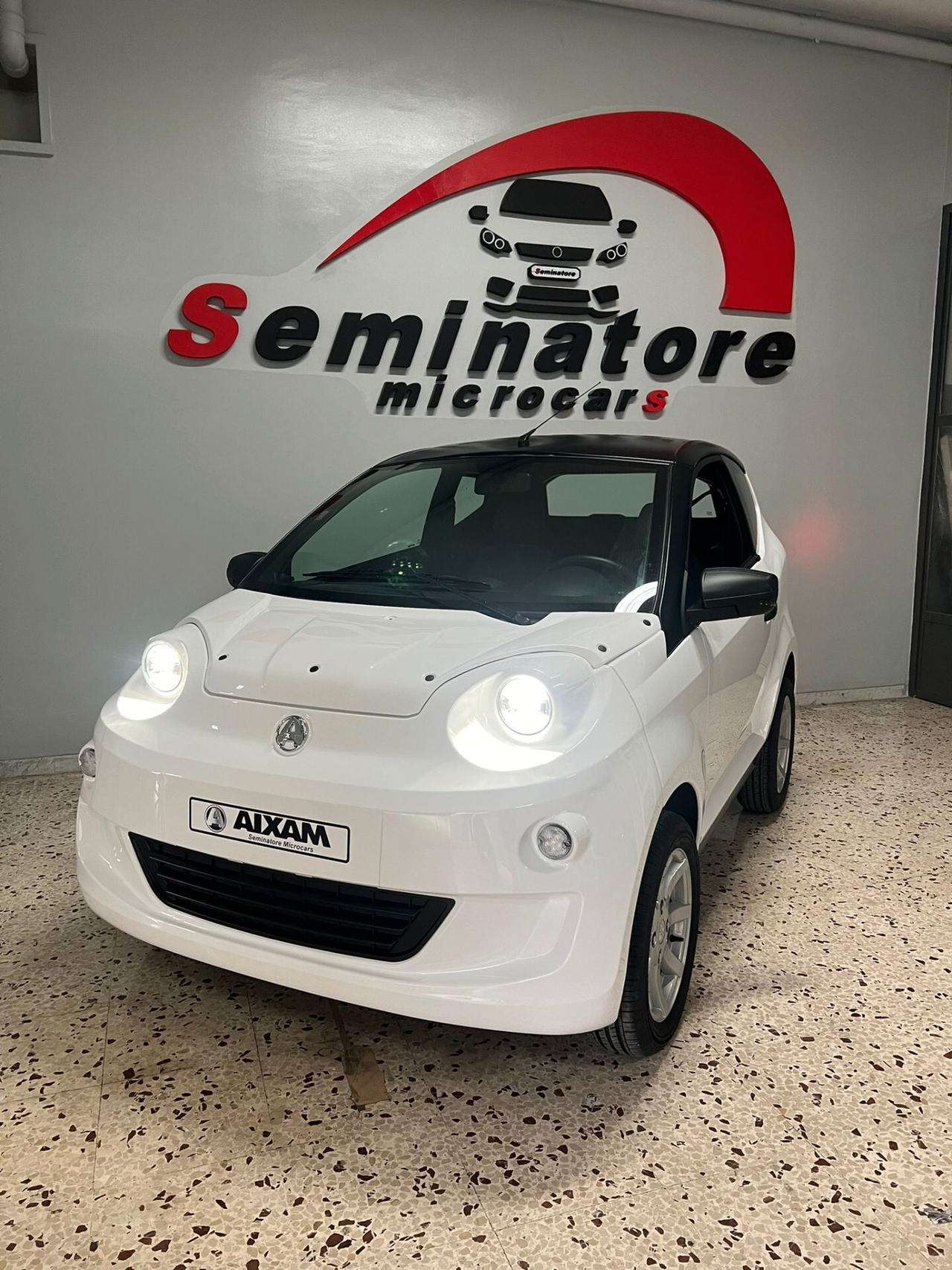 Aixam Miniauto Minauto Access