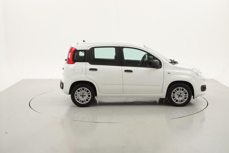 Fiat Panda Easy BR404191 1.2 Benzina 69CV