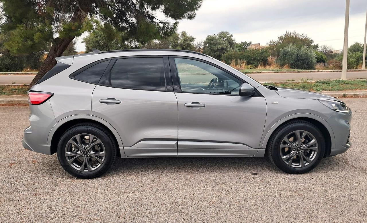 Ford Kuga 1.5 EcoBlue 120 CV 2WD ST-Line (Iva esposta)