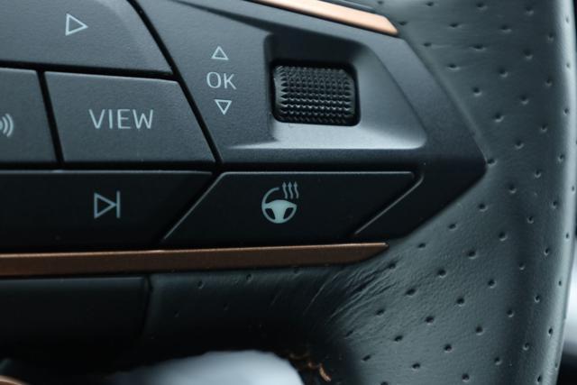 CUPRA Leon 2.0 TDI 150 CV DSG