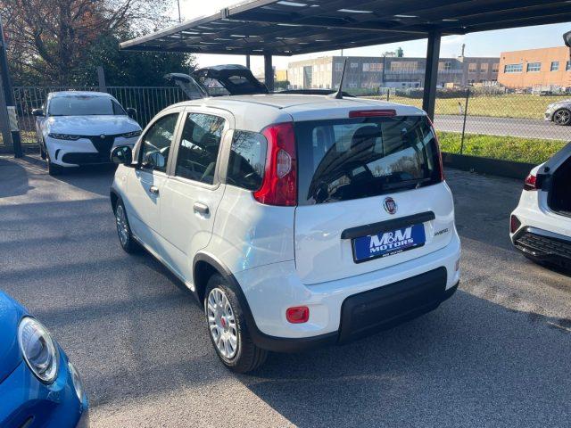 FIAT Panda 1.0 FireFly S&S Hybrid #VARI COLORI