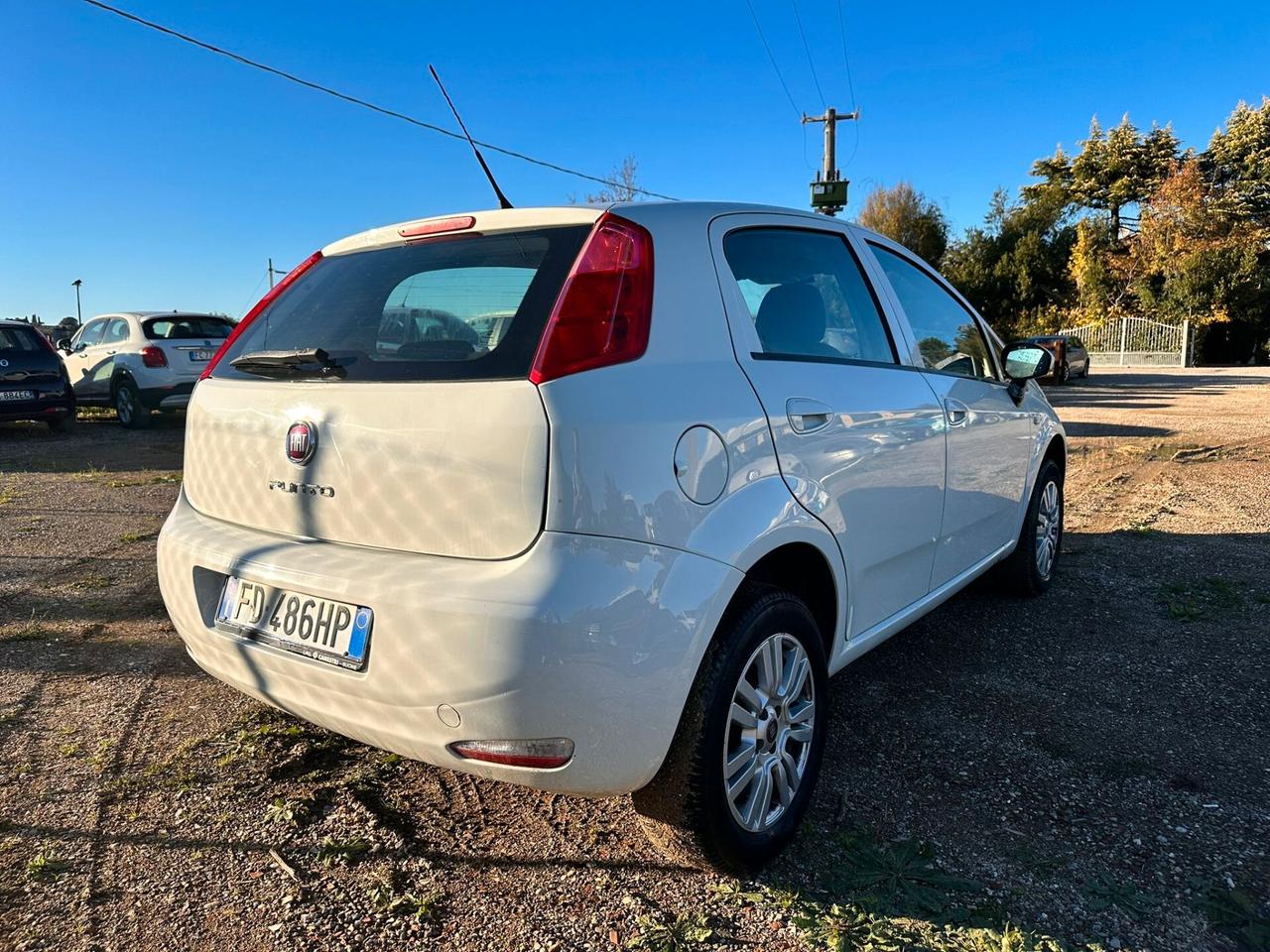 Fiat Punto 1.4 8V 5 porte Natural Power Lounge