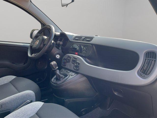 FIAT Panda 1.0 HYBRID 4 POSTI N1 AUTOCARRO