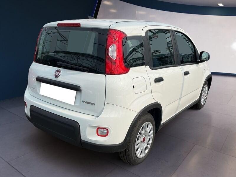 FIAT Panda My23 1.0 70cv Hybrid Panda