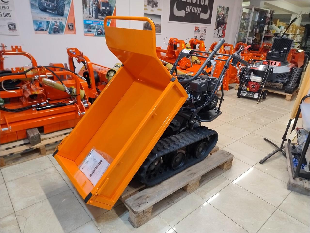 Vasta disponibilità di motocarriole e altro