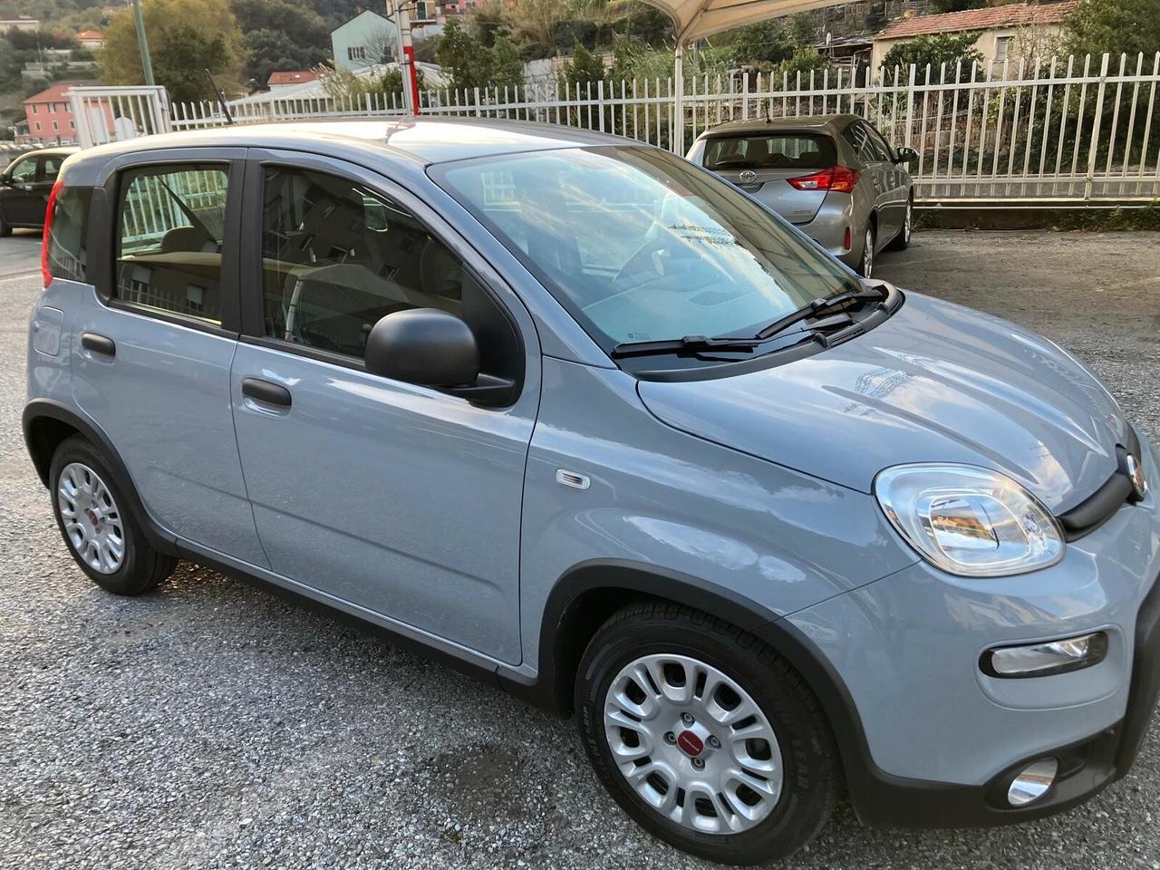 Fiat Panda 1.0 FireFly S&S Hybrid Allestim. Confort Plus