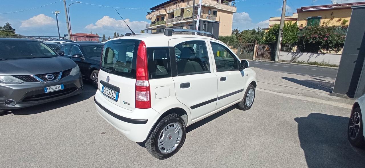 Fiat Panda 1.2 - 1 PROPRIETARIO!