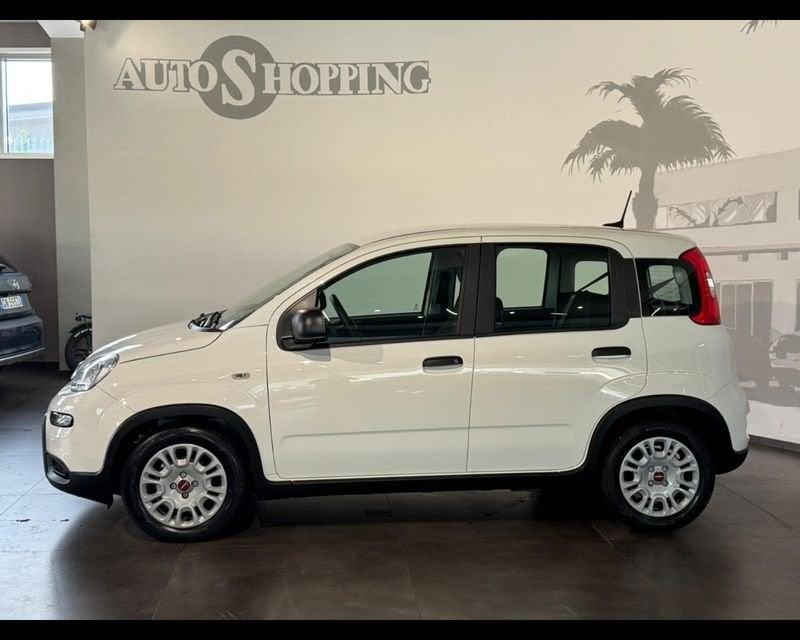 FIAT Panda 3ª serie 1.0 FireFly S&S Hybrid