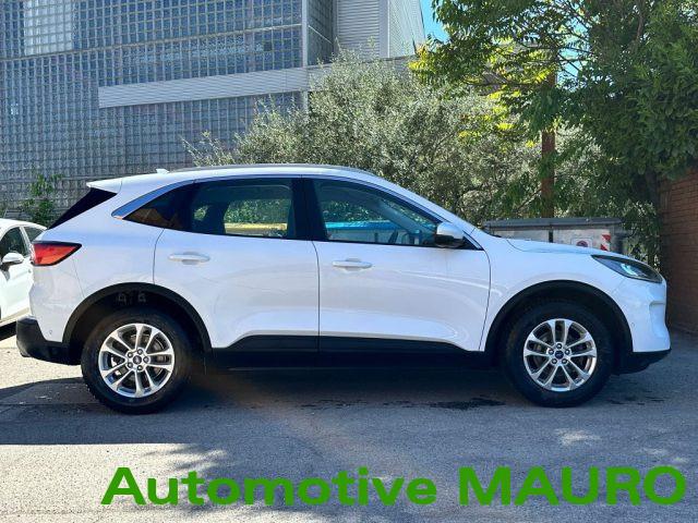 FORD Kuga 1.5 EcoBlue 120 CV 2WD Titanium Business