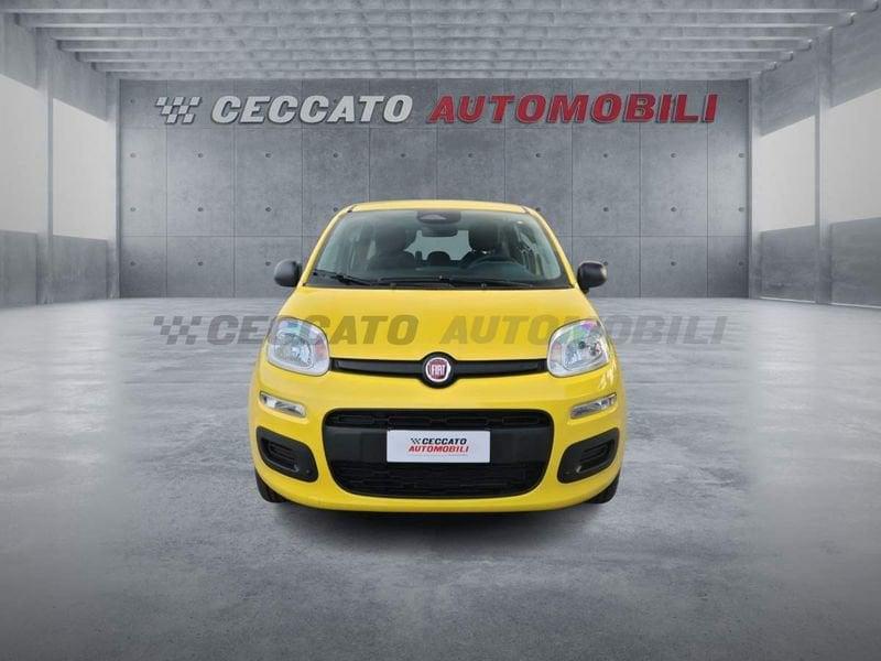 FIAT Panda Panda 1.0 70cv Hybrid Icon