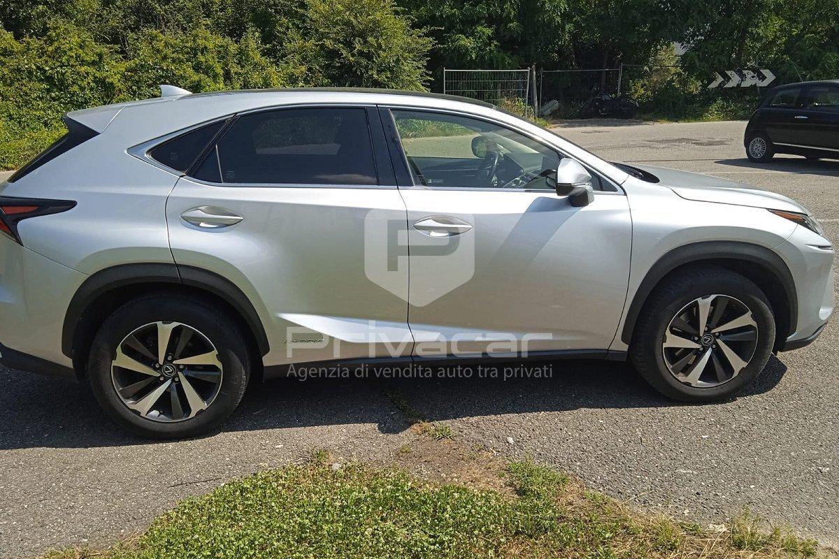 LEXUS NX Hybrid 4WD Luxury