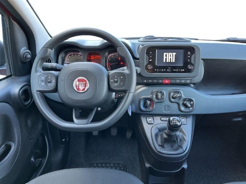 FIAT Panda My24 1.0 70cv Hybrid Panda