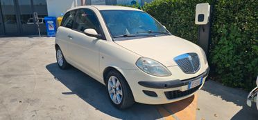 Lancia Ypsilon 1.3 Multijet 16V Argento